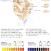Mini Course: Depicting the Colours in Portraits - Image 9