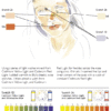 Mini Course: Depicting the Colours in Portraits - Image 4
