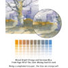 Depicting the Colours in Trees & Bushes - Image 6